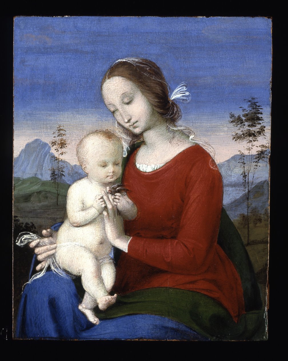 Madonna og barn med en fugl (olie på træ) af Raphael (1483 1520)