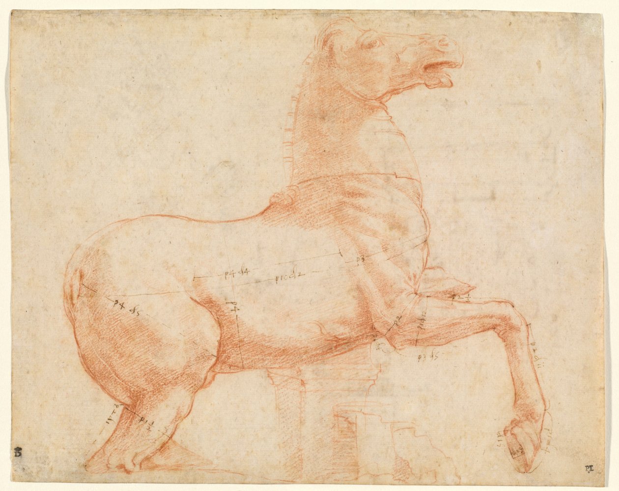 A Marble Horse on the Quirinal Hill (recto), ca. 1513 (rødt kridt, kuglepen, brunt blæk, blyspids og stylus) af Raphael (1483 1520)