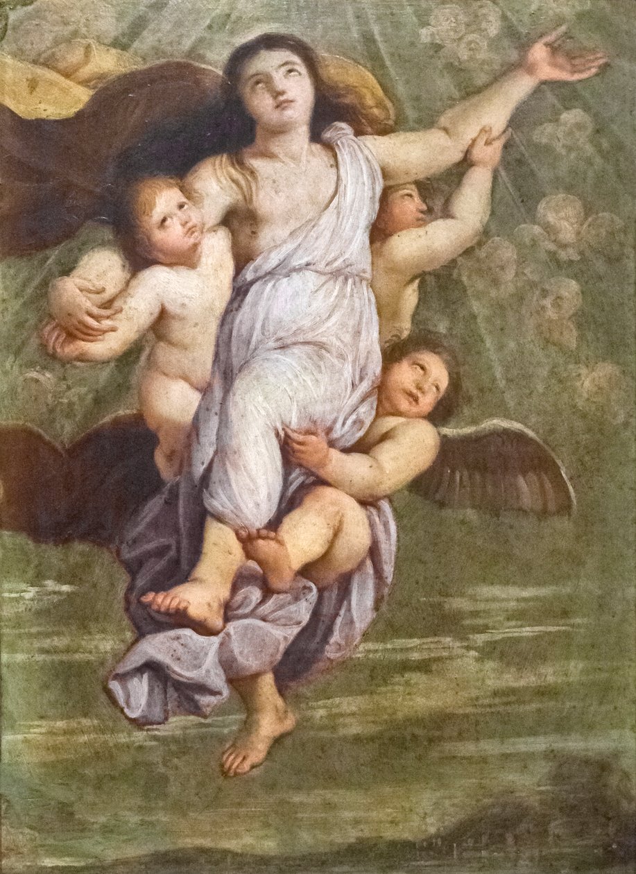 Marias antagelse af Raphael (1483 1520)
