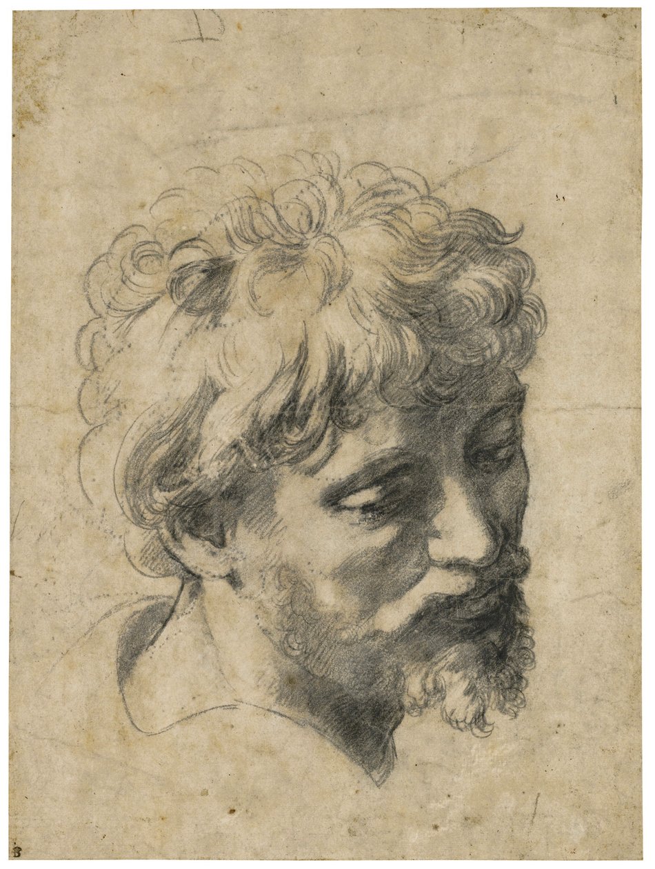 ""Portræt af en ung apostel"" (hoved for en ung apostel) Trækul på papir af Raphael (Raffaello Sanzio) (1483-1520) Privat samling af Raphael