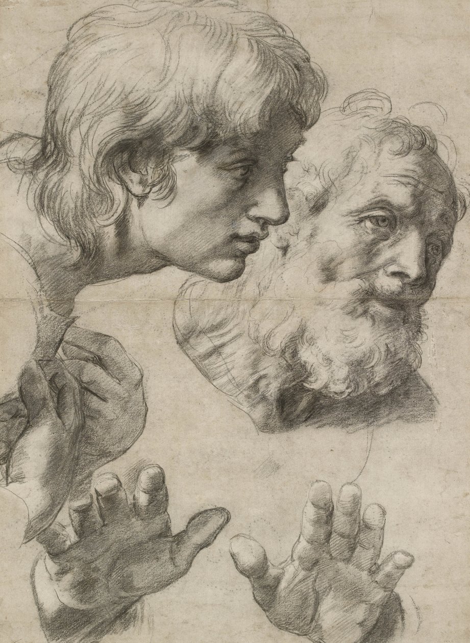 Studier af to apostles hoveder og deres hænder (sort kridt berørt med hvidt på gråligt papir) af Raphael