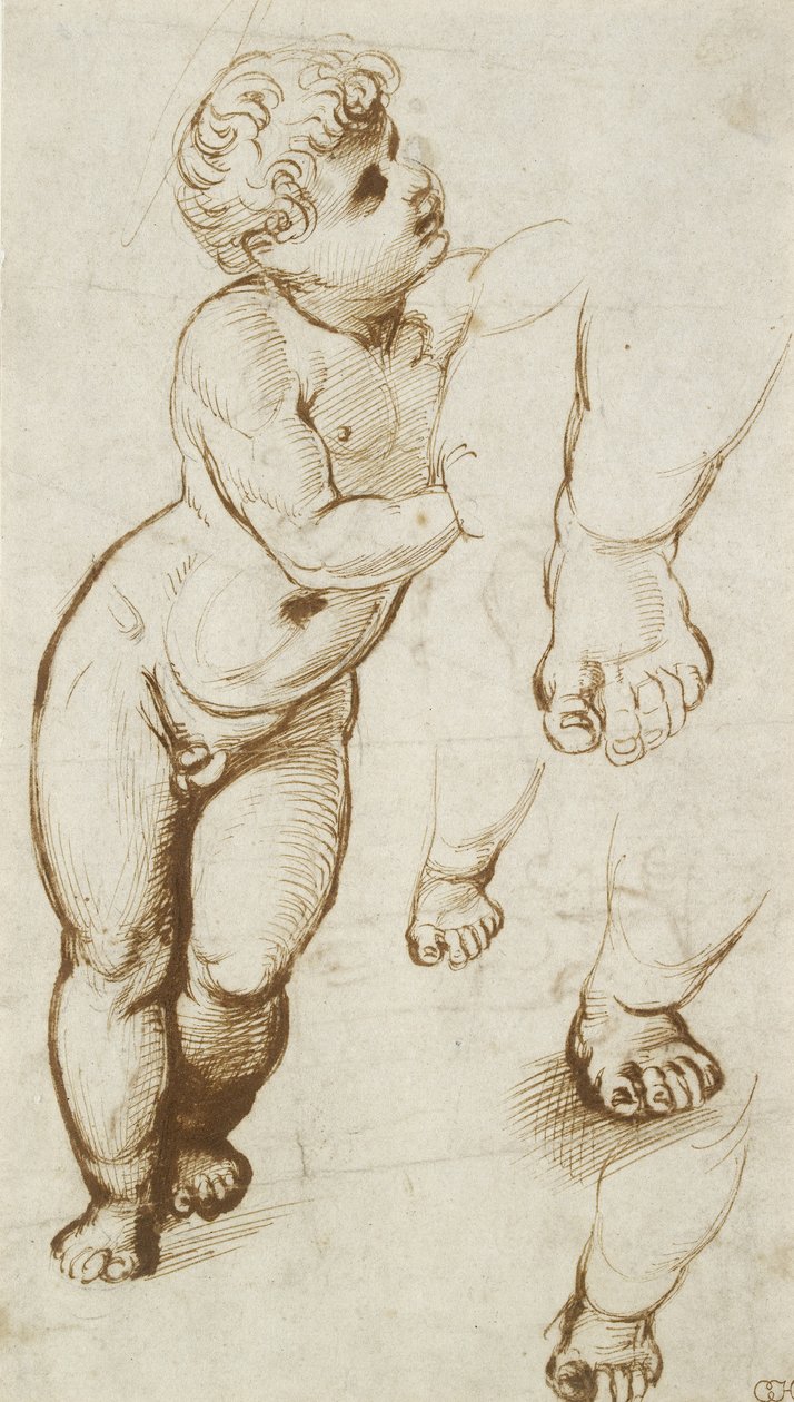 The Infant Christ and other studies (pen og mørkebrunt blæk over foreløbige indikationer i leadpoint, på hvidt papir) af Raphael