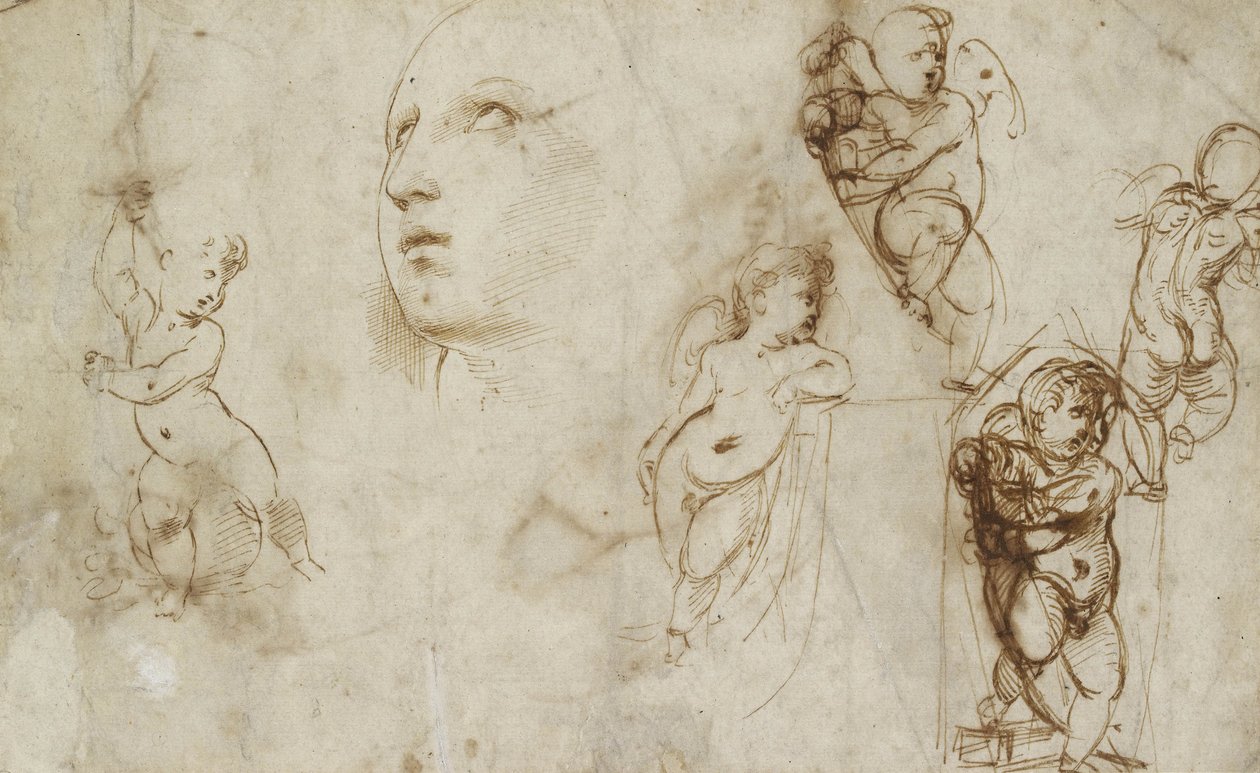 Forskellige studier, primært for Borghese-Beckford St Catherine (pen og brunt blæk på råhvidt papir) af Raphael