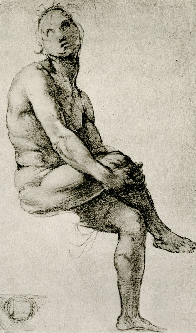 Adam af Raffaello Sanzio Raphael