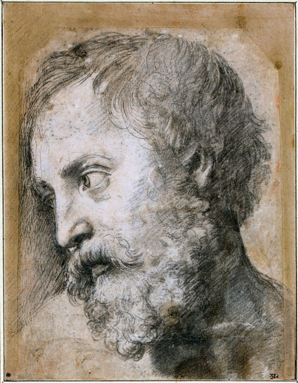 Leder af An Apostle Study for Transfiguration, 1519-1520 af Raffaello Sanzio Raphael