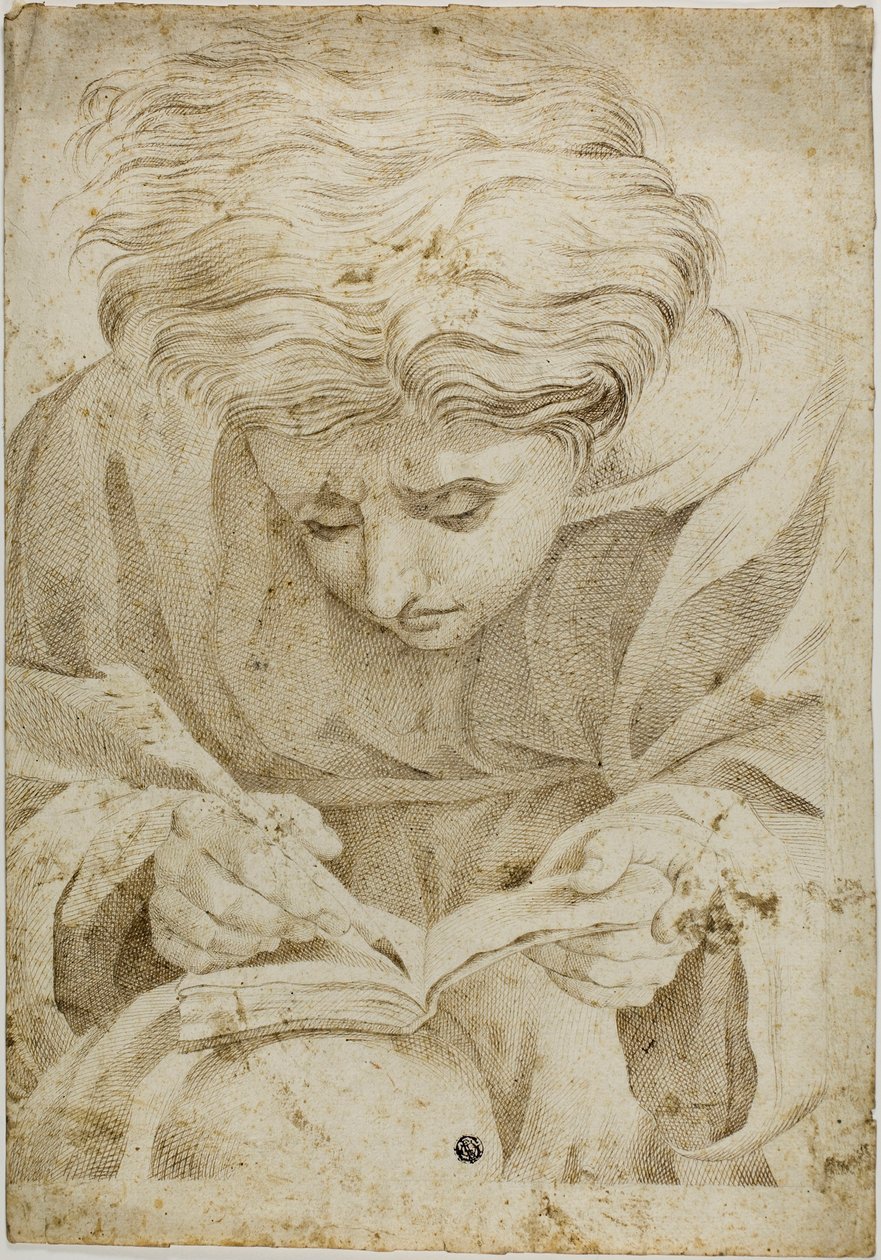 Siddende Ungdomsskrivning i Bog af Raphael
