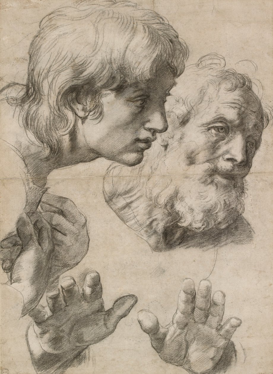 Studier af to apostles hoveder og deres hænder, 1500-tallet af Raphael