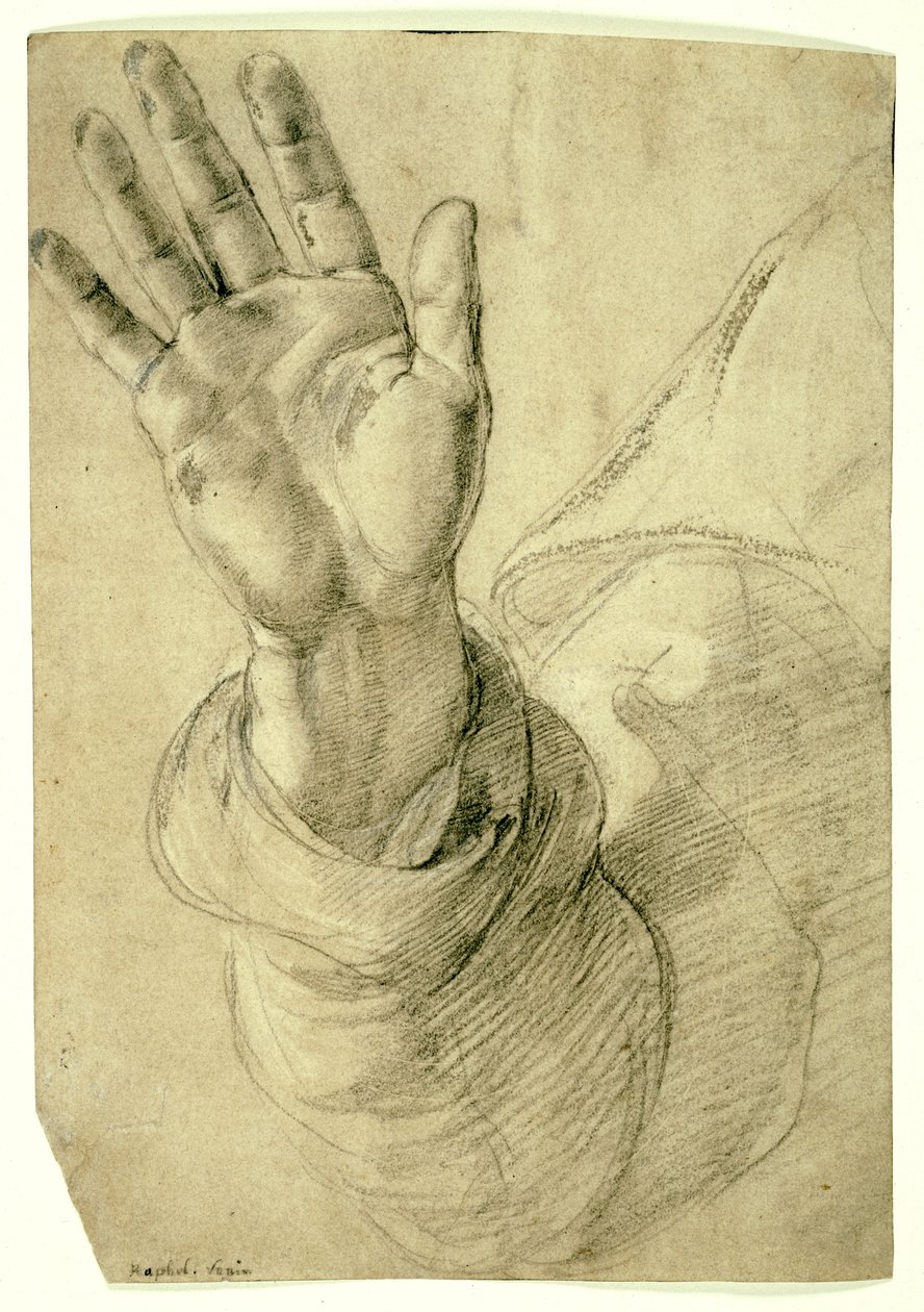 Ophøjet højre hånd, med håndfladen vendt udad: Study for Saint Peter, 1518-20 af Raphael