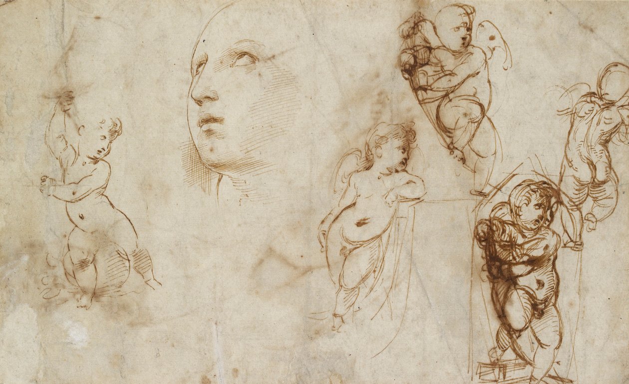 Forskellige undersøgelser, hovedsageligt for Borghese-Beckford St Catherine, begyndelsen af det 16. århundrede af Raphael