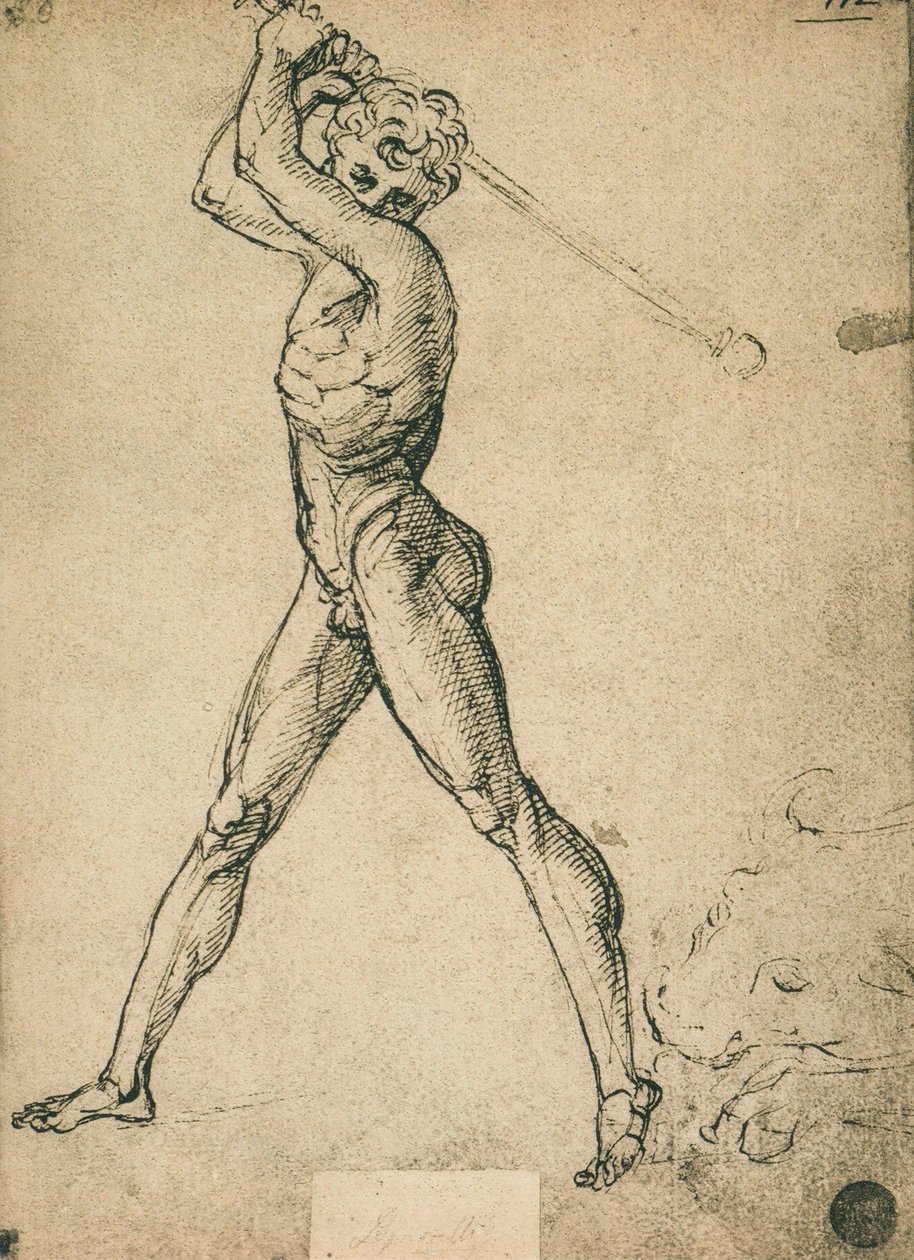Herkules dræber tyren; tegning af Raphael. Gallerie dellAccademia, Venedig af Raffaello Sanzio Raphael