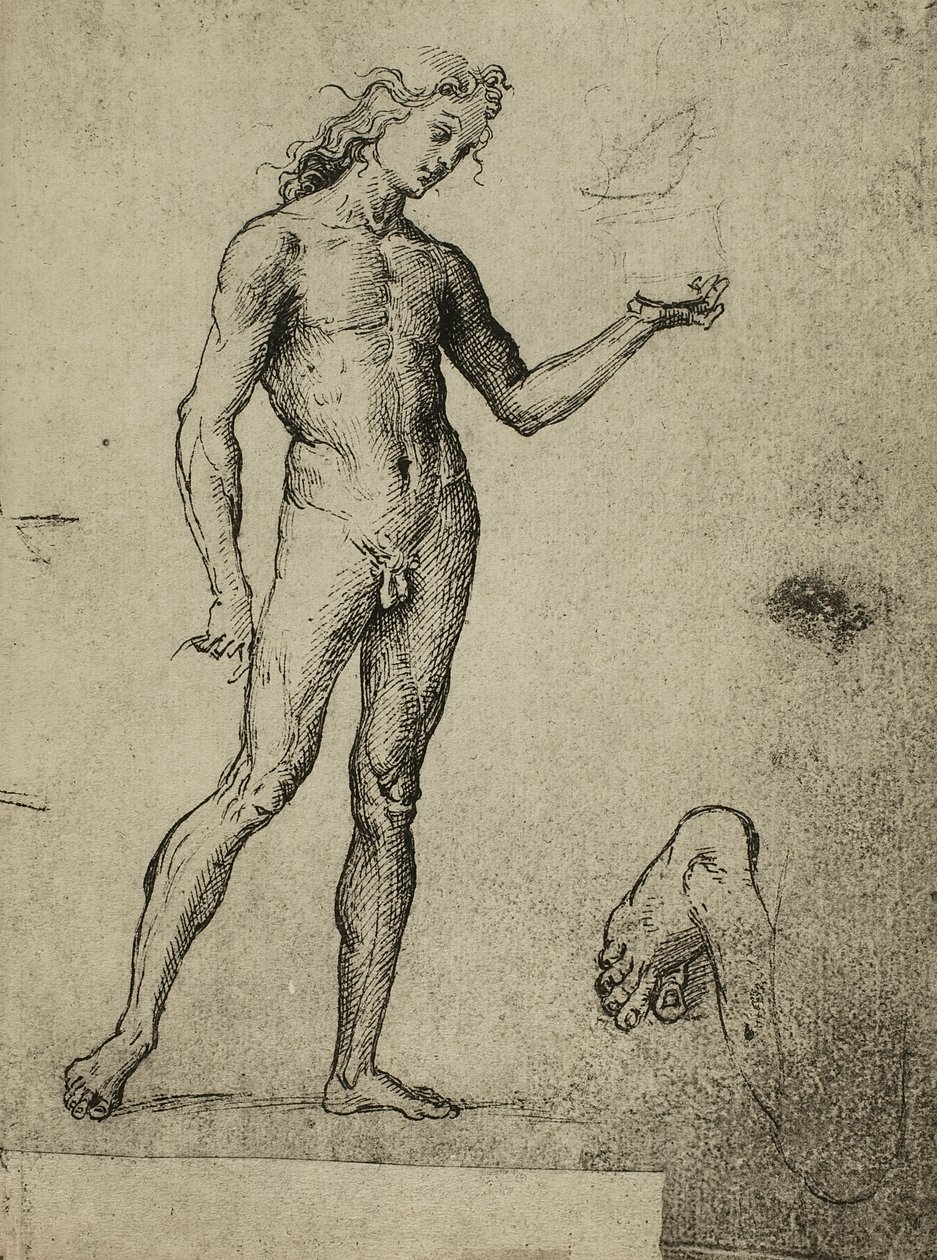 Mandlig nøgenstudie; tegning af Raphael. Gallerie dellAccademia, Venedig af Raffaello Sanzio Raphael