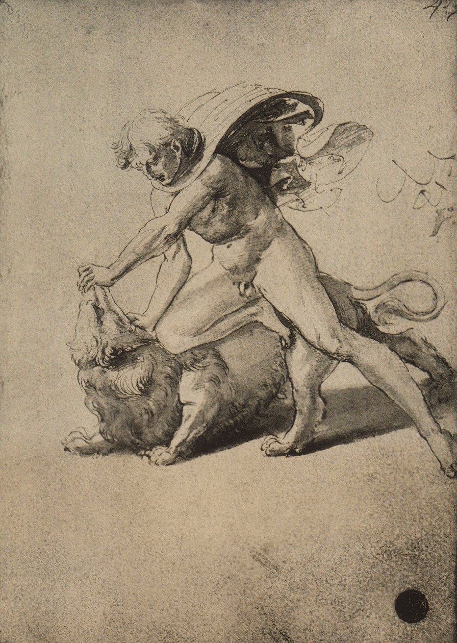 Samson kæmper mod løven; tegning af Raphael. Gallerie dellAccademia, Venedig af Raffaello Sanzio Raphael