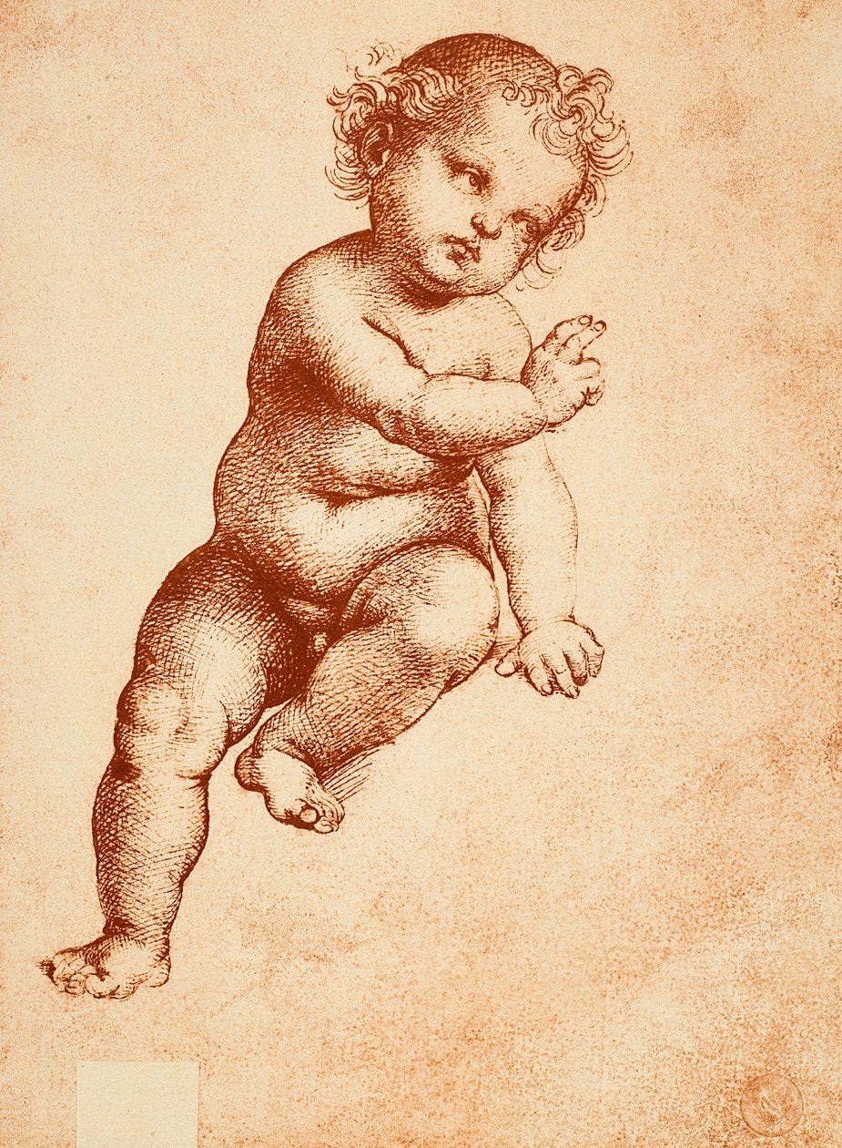 Study for a Baby Jesus, tegning af Raphael. Gallerie dellAccademia, Venedig af Raffaello Sanzio Raphael