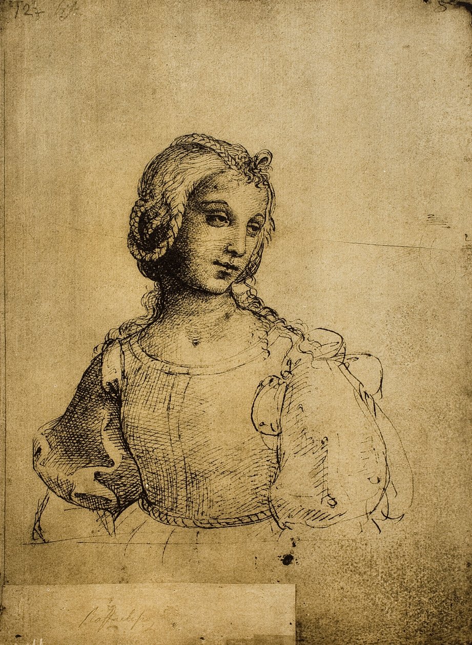 Undersøgelse af en kvinde; tegning af Raphael. Gallerie dellAccademia, Venedig af Raffaello Sanzio Raphael