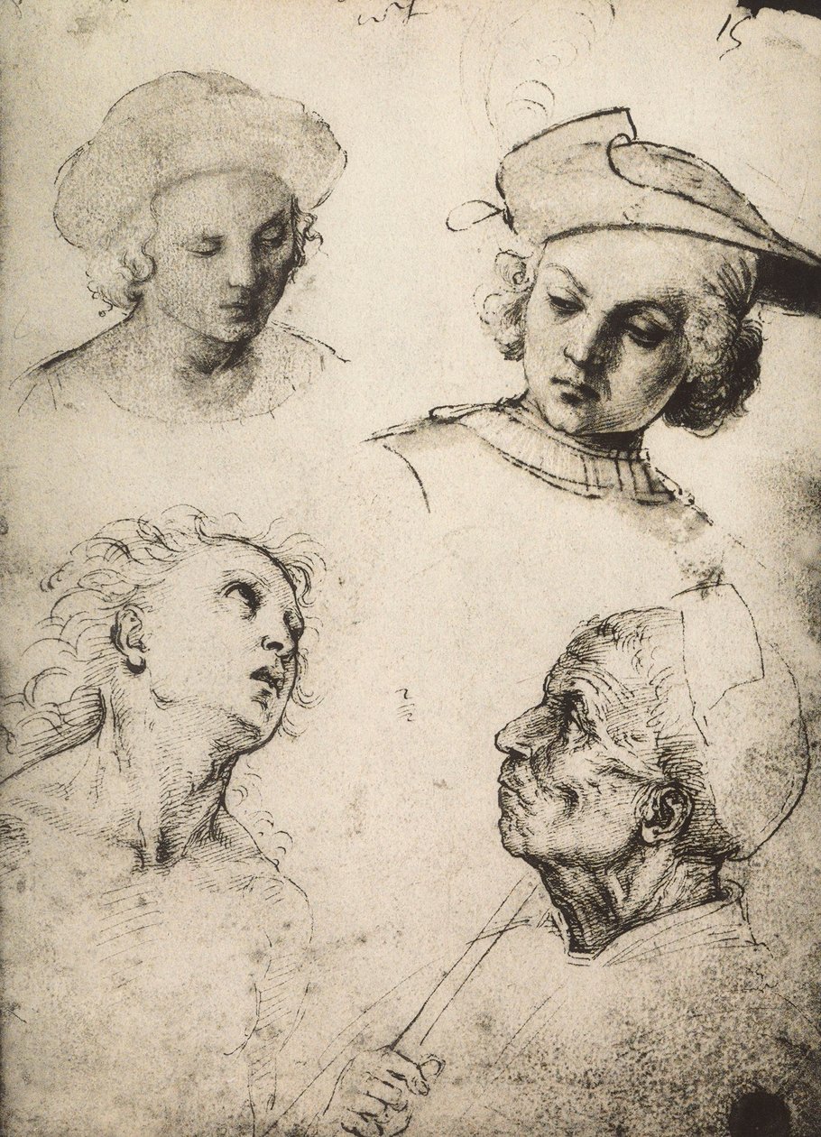 Undersøgelse af fire mandlige ansigter; tegning af Raphael. Gallerie dellAccademia, Venedig af Raffaello Sanzio Raphael