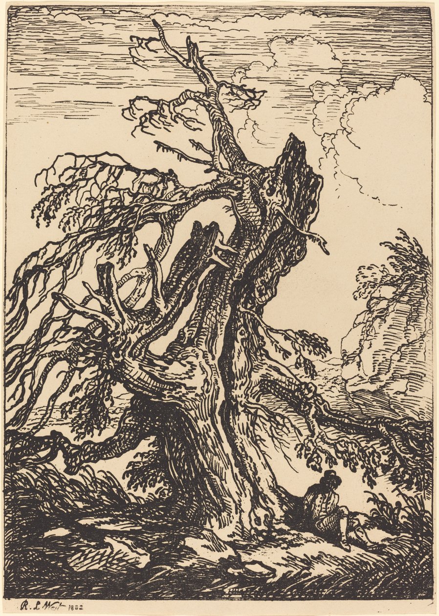 Studie af et træ af Raphael Lamar West
