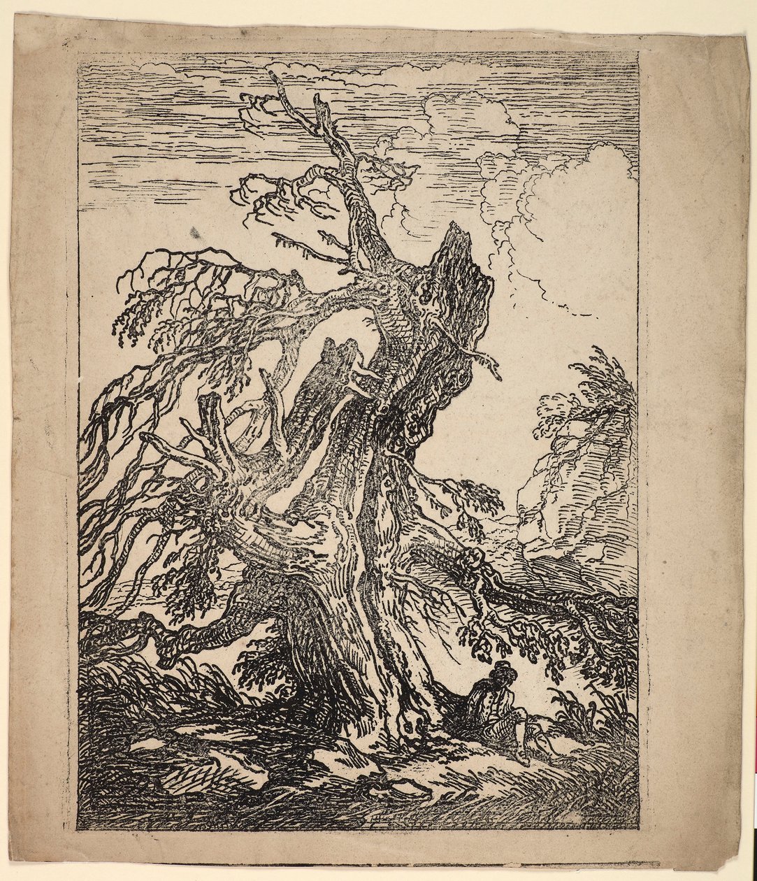 Studie af et træ af Raphael Lamar West