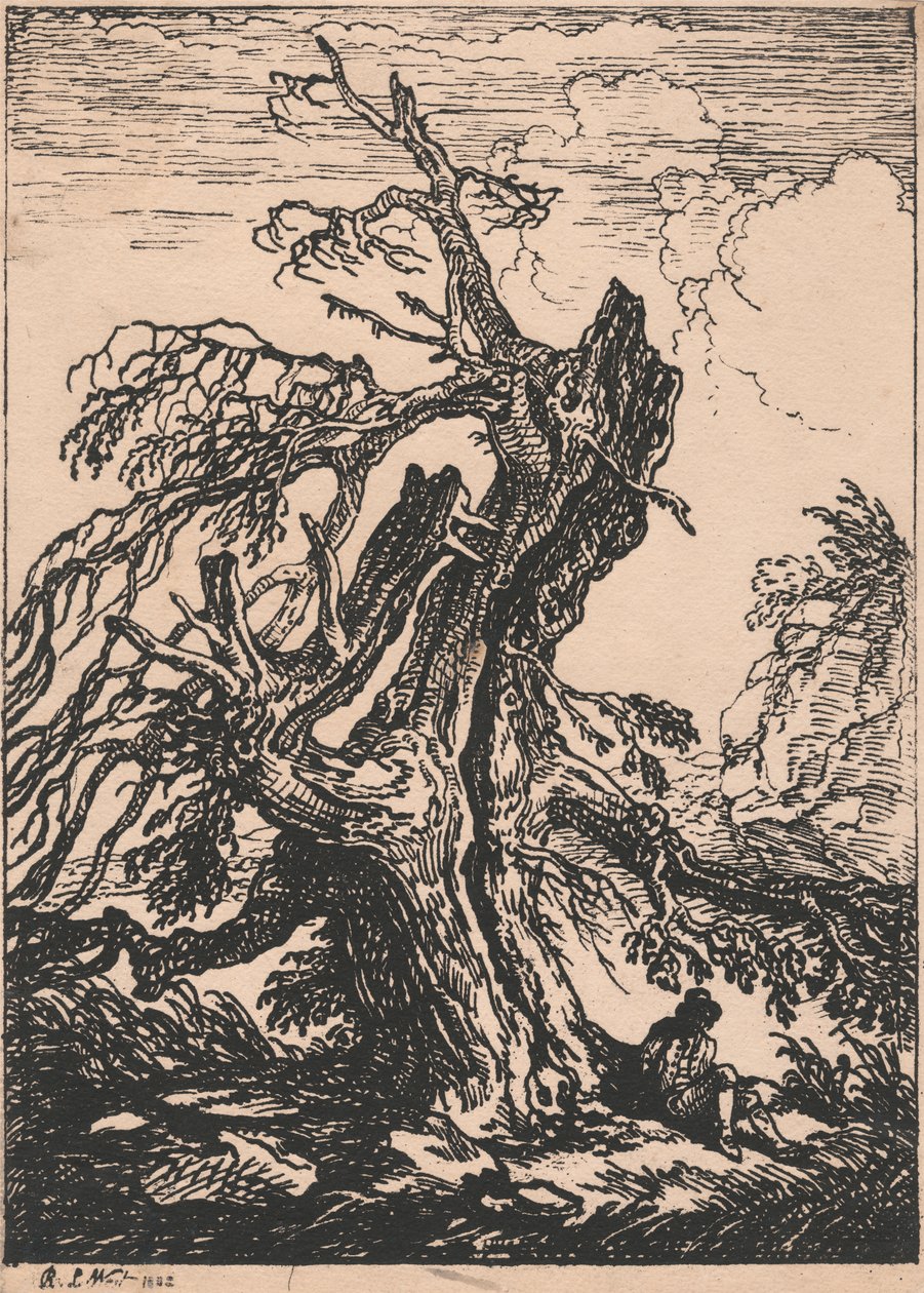 Studie af et træ af Raphael Lamar West