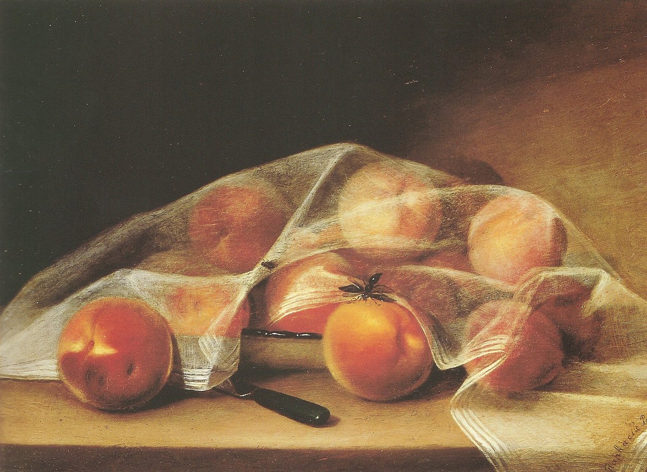 Frugtstykker med ferskner dækket af et lommetørklæde-raphaelle peale af Raphaelle Peale