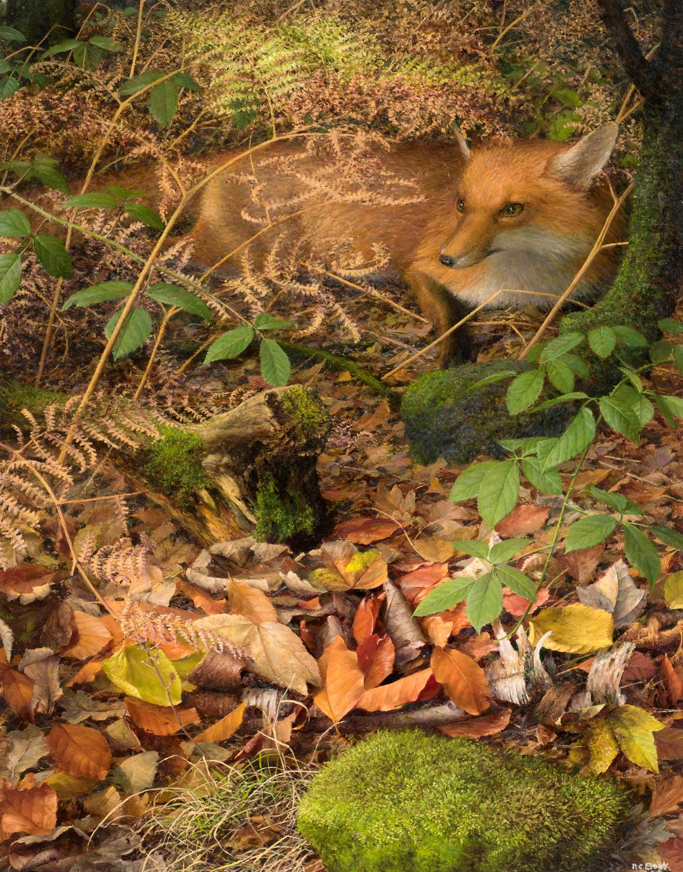 Autumn: a fox resting among the fallen Leaves, 2005 (olie på plade) af Raymond Booth