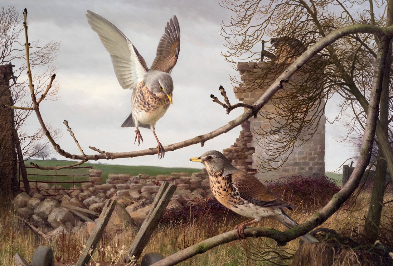 Markvandringer ved Eccup, West Yorkshire af Raymond Booth