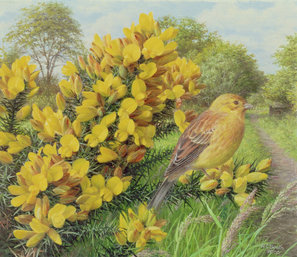 Gorse and Yellow Hammer, 2000 (olie på plade) af Raymond Booth