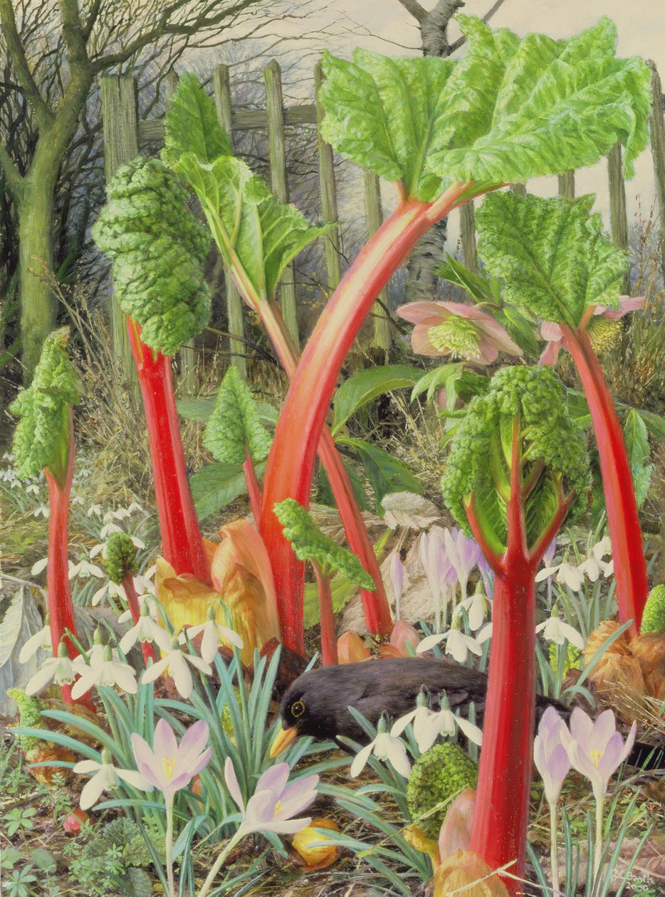 In the Rhubarb Patch, 2000 (olie på plade) af Raymond Booth