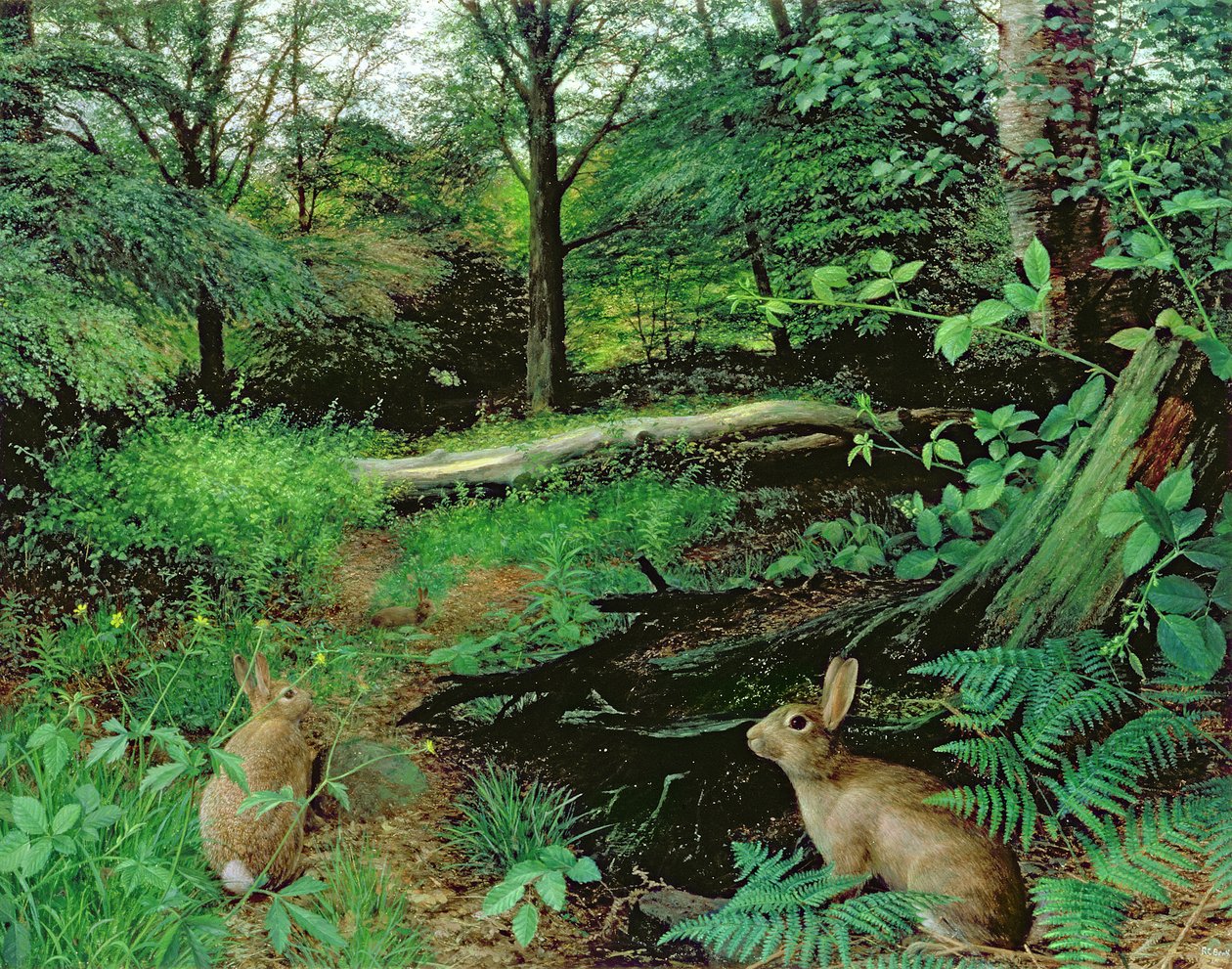 In the Woods - A Midsummer Evening (olie på plade) af Raymond Booth