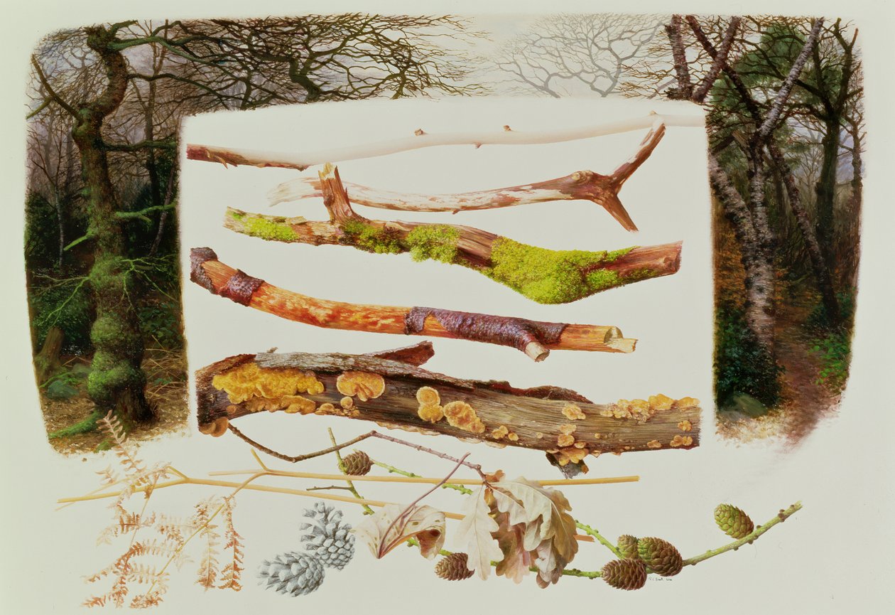Items from the Winter Woodland, 2000 (olie på papir) af Raymond Booth