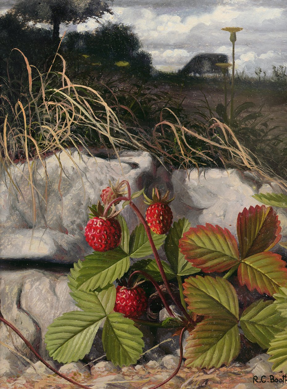 Jordbær (olie på panel) af Raymond Booth