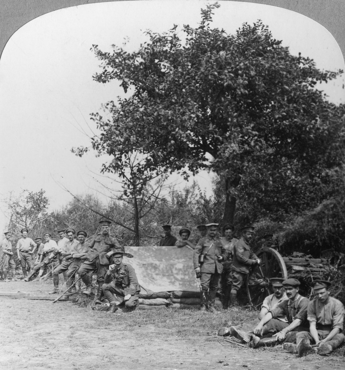 Et batteri af Royal Field Artillery, der nyder et par timers hvile i en skov, Første Verdenskrig, c1914-c1918 af Realistic Travels Publishers