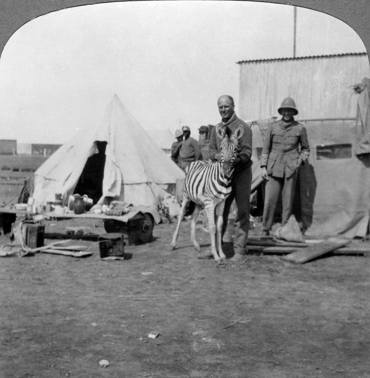Sydafrikanske skytter med deres kæledyrszebra, Østafrika, Første Verdenskrig, 1914-1918. af Realistic Travels Publishers