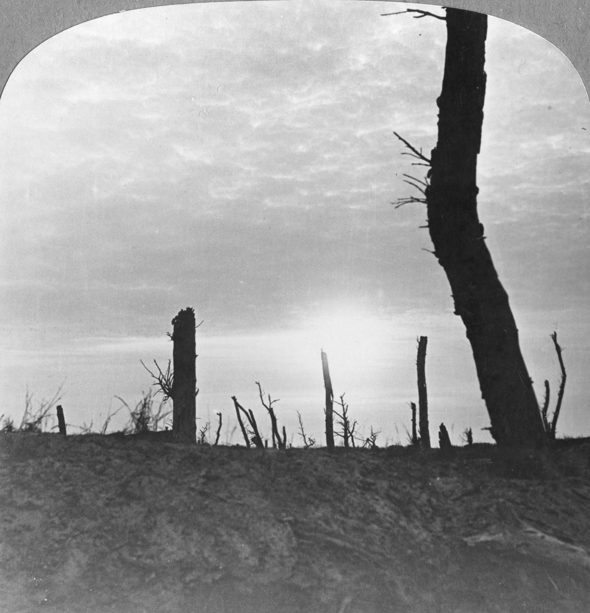 Solen går ned over ingenmandsland på Somme, Frankrig, Første Verdenskrig, c1914-c1918 af Realistic Travels Publishers