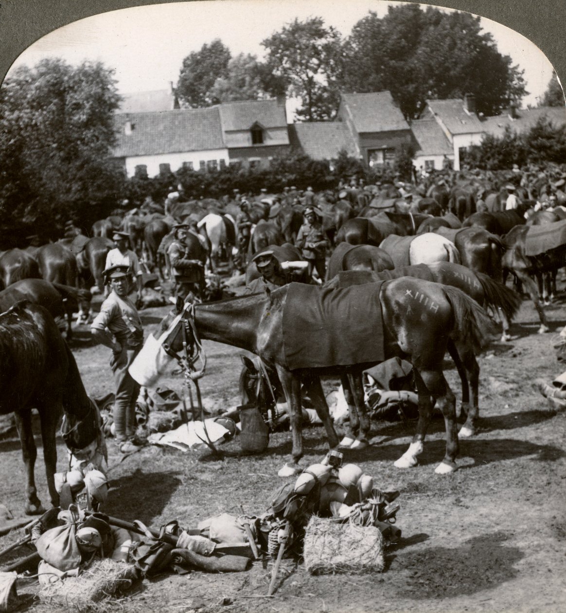 Tropper fodrer deres heste og hviler på marchen, Første Verdenskrig, 1914-1918. af Realistic Travels Publishers