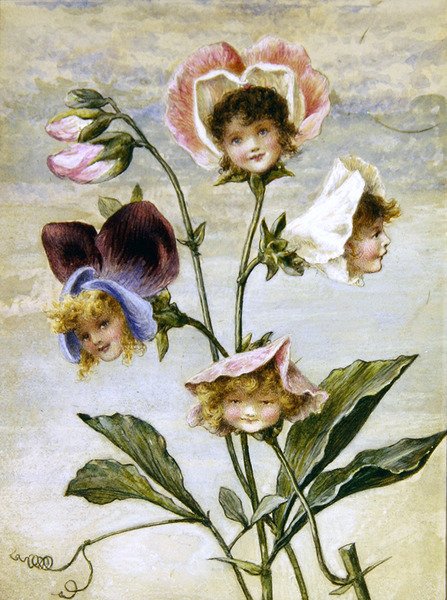 Geranium & Sweet Pea - Blomsterbørn - et par (akvarel & kropsfarve på papir) af Rebecca Coleman