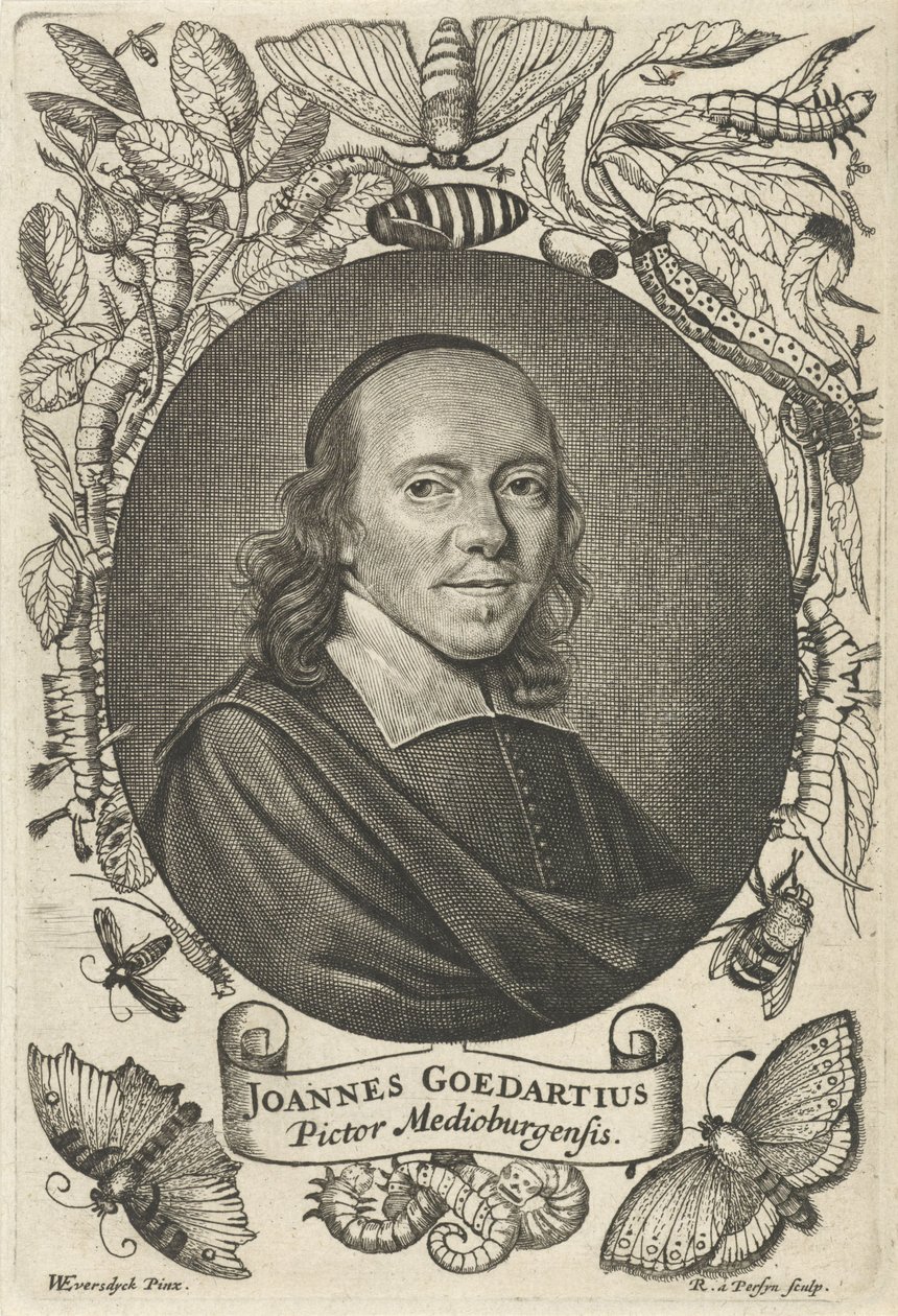 Johannes Goedaert (1617-1668) af Middelburg af Reinier van Persijn