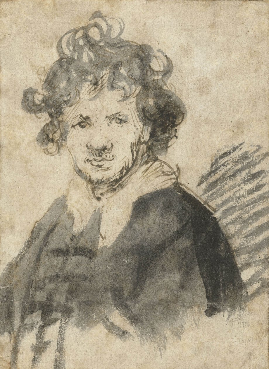 Selvportræt med pjusket hår, ca. 1628-29 af Rembrandt van Rijn