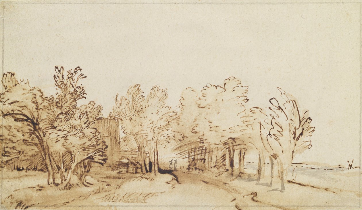 Avenue med en gangsti og et bondehus til venstre (pen og brunt blæk og pensel på papir) af Rembrandt van Rijn