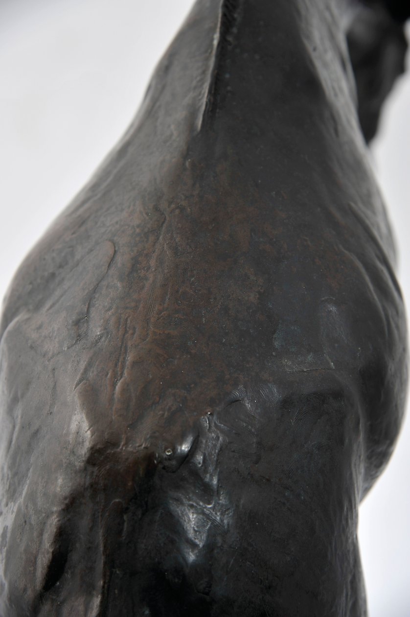 Stor giraf med sænket hoved, modelleret 1909-10, støbt før 1913 (bronze) (se også 3084917-43) af Rembrandt Bugatti