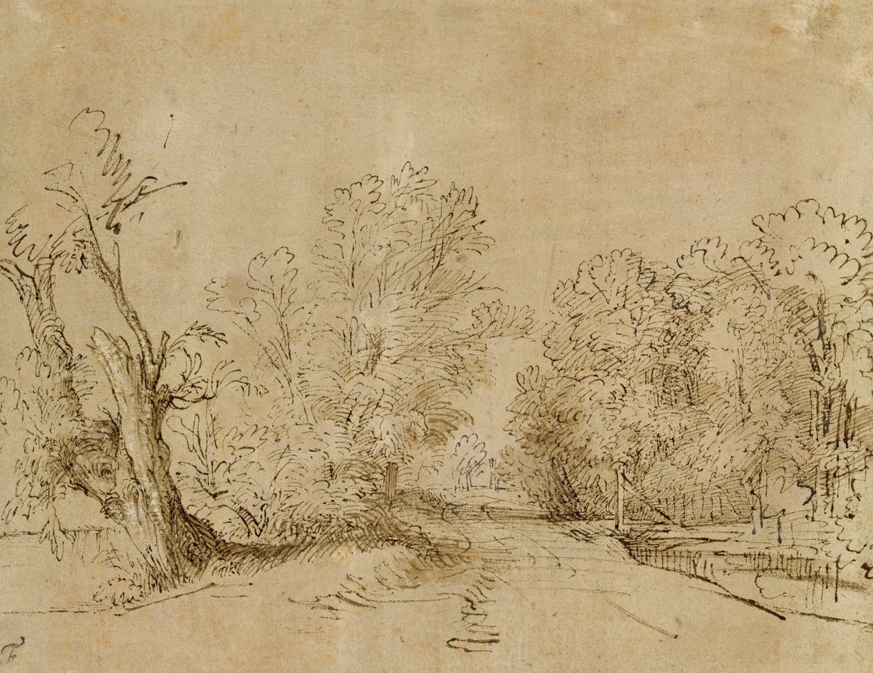 En skovklædt vej af Rembrandt van Rijn