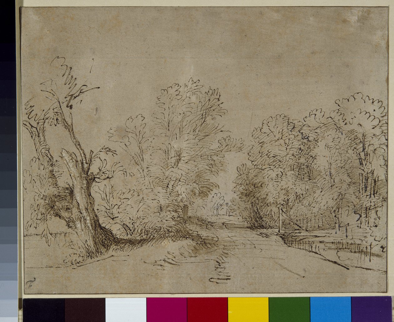 En skovklædt vej, ca. 1650 (pen og blæk på papir) af Rembrandt Harmensz. van Rijn