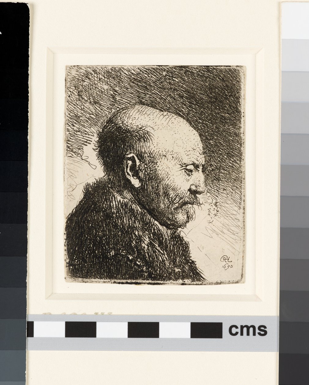 Skaldet mand i profil højre: Rembrandts far? af Rembrandt van Rijn