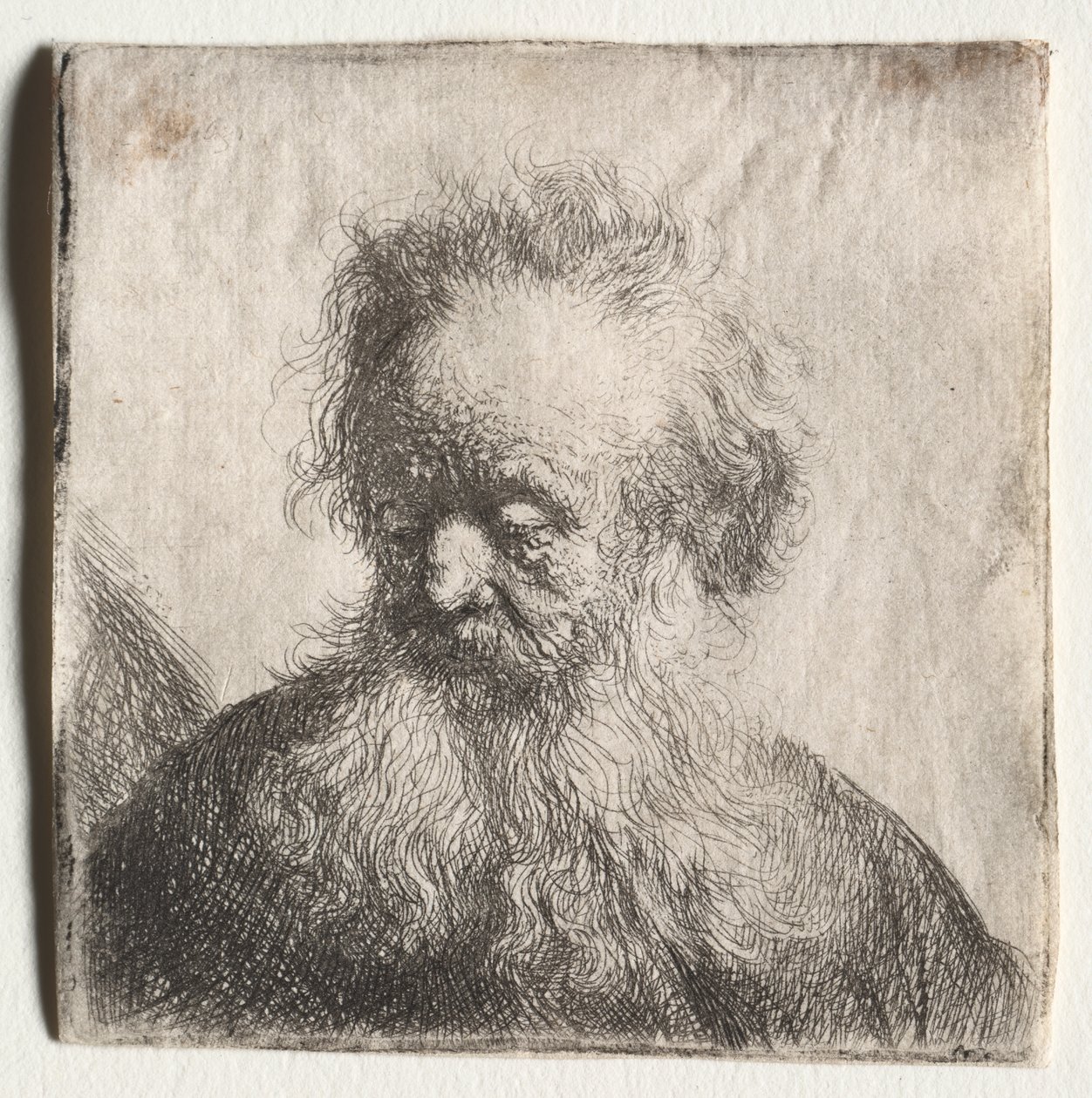 Gammel mand med flagrende skæg: Buste af Rembrandt Harmensz. van Rijn