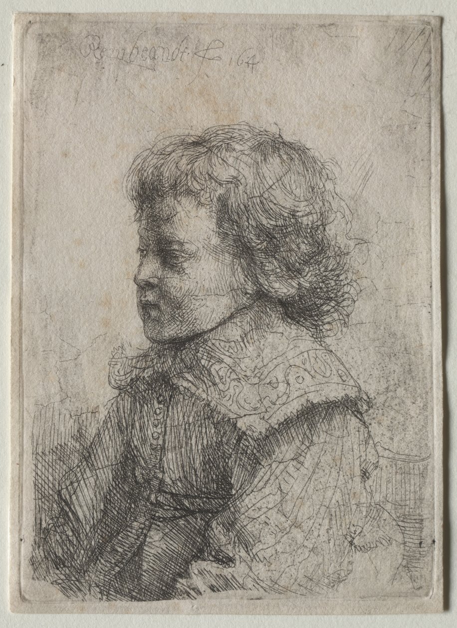 Portræt af en dreng i profil af Rembrandt Harmensz. van Rijn
