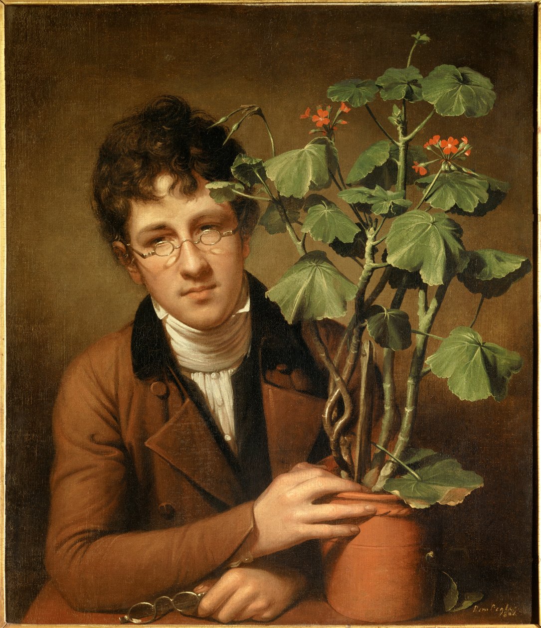 Portræt af maleren Rubens Peale (1784-1864) ved geraniumen Maleri af Rembrandt Peale (1778-1860) (ec.amer.) 1801 Collection privee - Portræt af maleren Rubens Peale (1784-1864) med en geranium - Maleri af Rembrandt Peale (1778-1860), olie på af Rembrandt Peale
