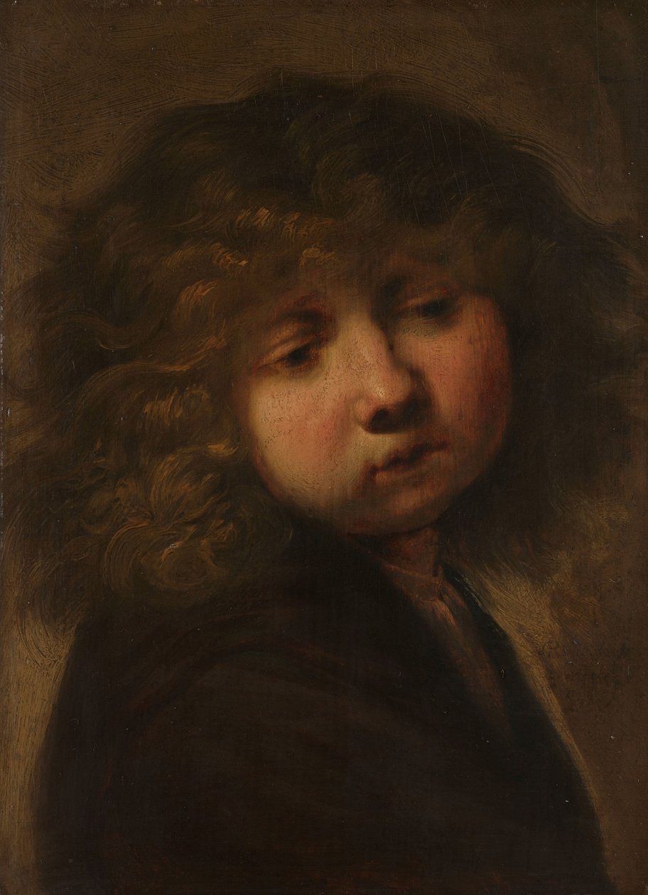Hoved af en dreng af Rembrandt van Rijn (circle of)