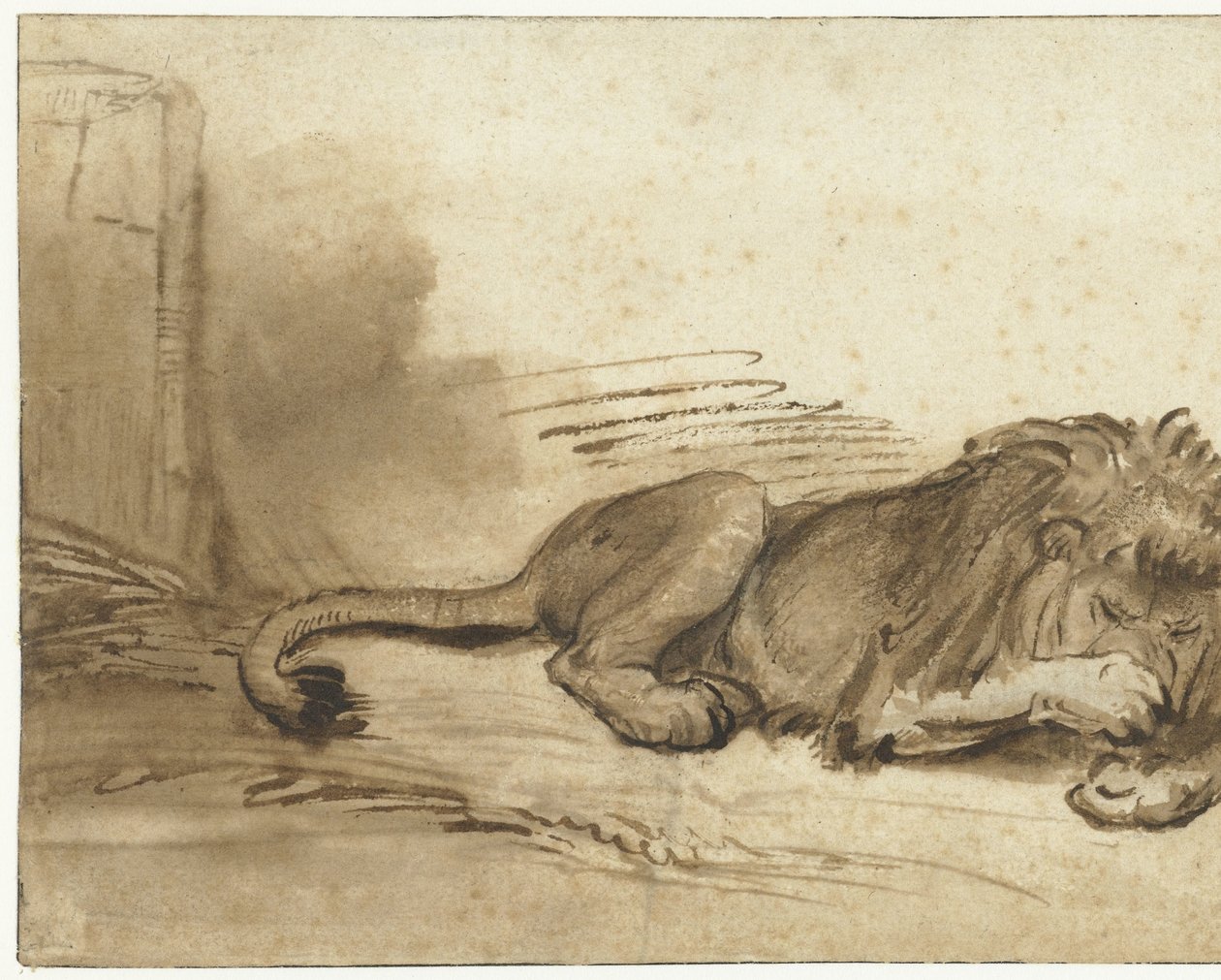Tilbagelænet løve med forpoten over næsepartiet af Rembrandt van Rijn (school of)
