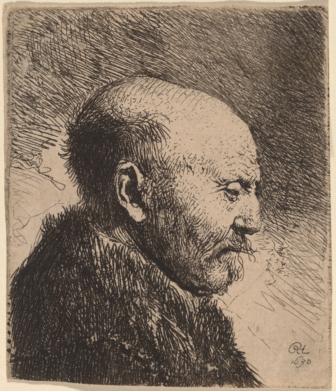 En skaldet mand i profil (kunstnerens far?) af Rembrandt van Rijn