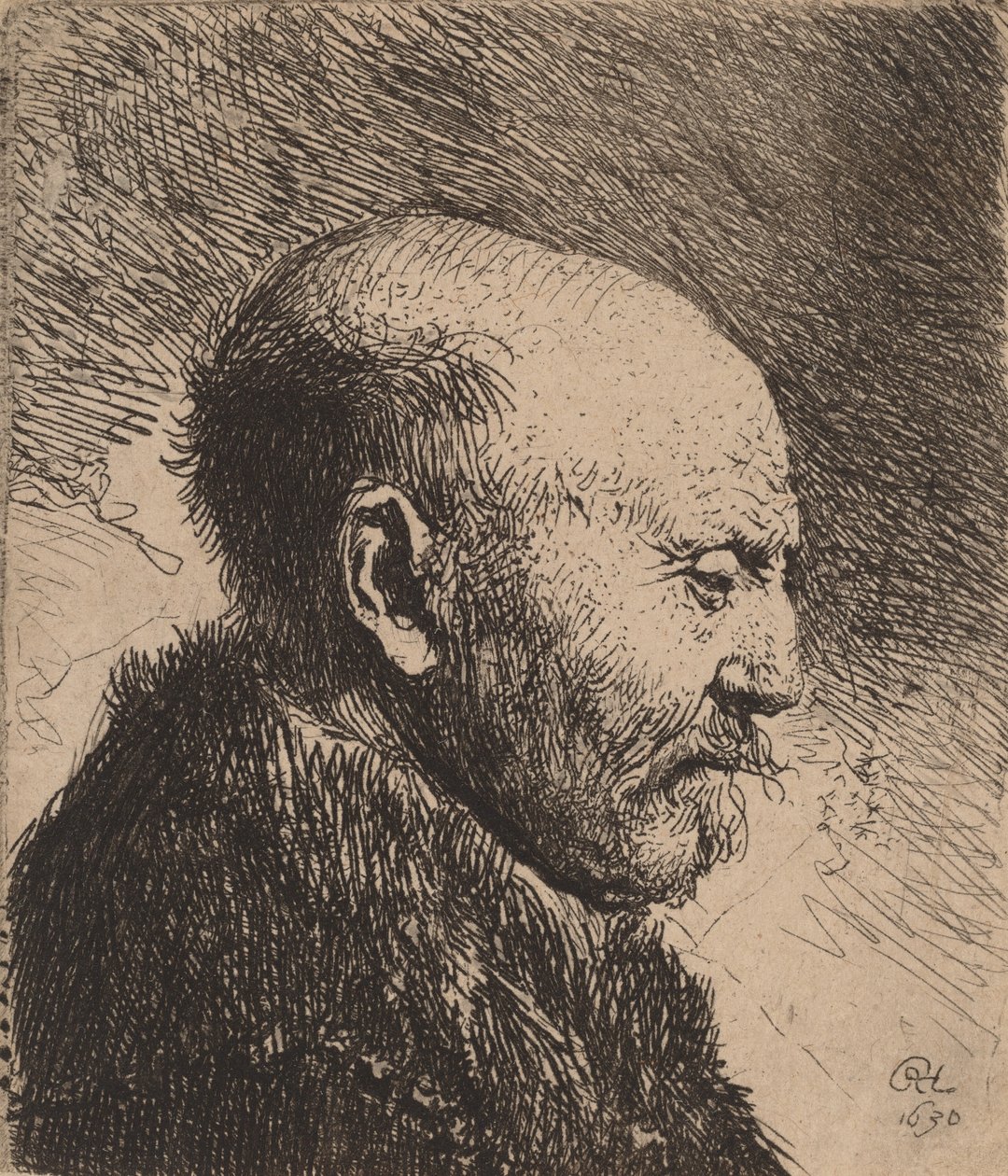 En skaldet mand i profil kunstnerens far, 1630. af Rembrandt van Rijn