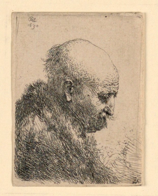 Skaldet-hovedet mand i profil højre: Lille buste; Kunstnerens far? af Rembrandt van Rijn